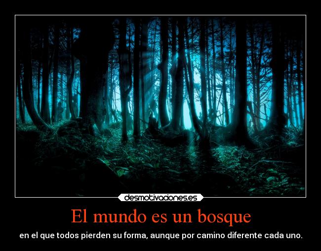 El mundo es un bosque - 