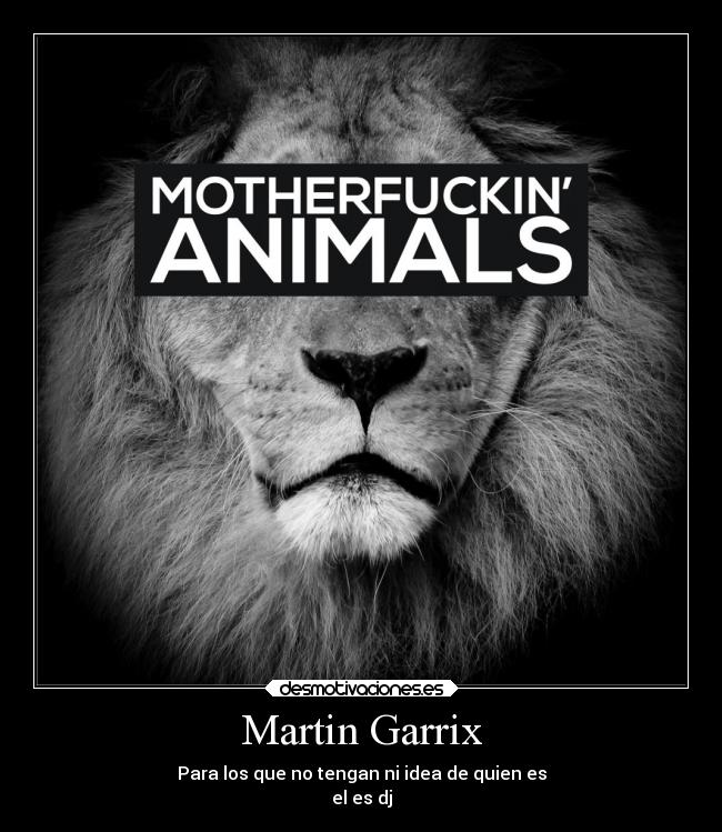 Martin Garrix - Para los que no tengan ni idea de quien es
el es dj