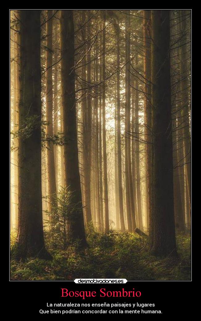 Bosque Sombrio - La naturaleza nos enseña paisajes y lugares
Que bien podrían concordar con la mente humana.