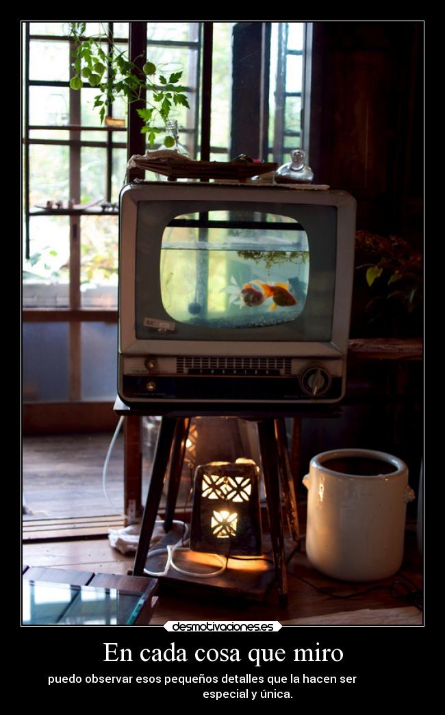 En cada cosa que miro - puedo observar esos pequeños detalles que la hacen ser               
                  especial y única.