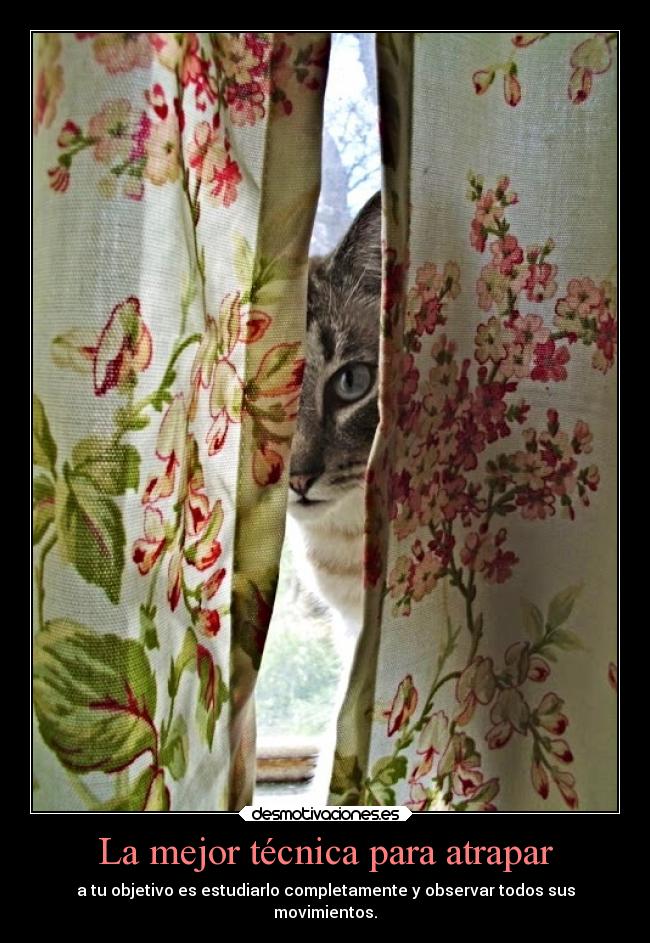 La mejor técnica para atrapar -