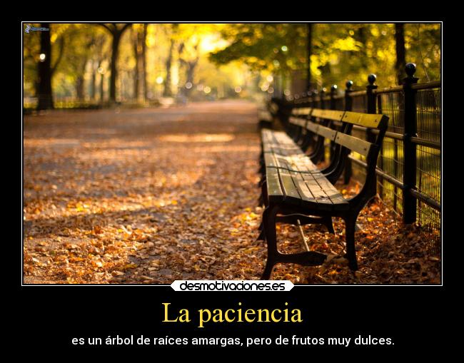 La paciencia - es un árbol de raíces amargas, pero de frutos muy dulces.