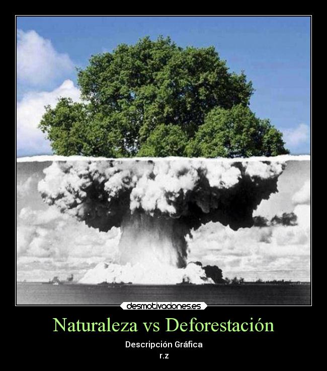 Naturaleza vs Deforestación - Descripción Gráfica
r.z