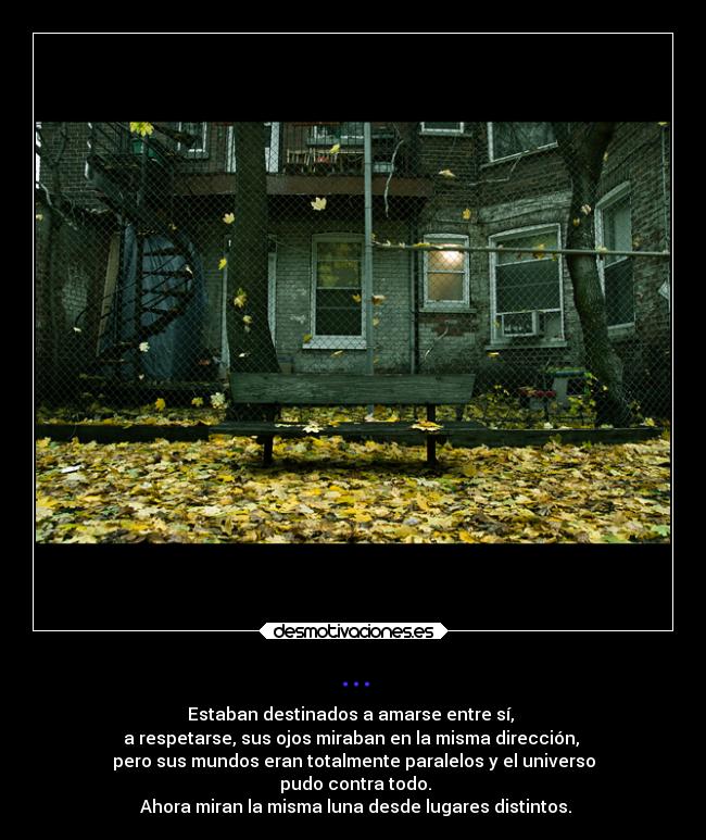 ... - Estaban destinados a amarse entre sí,
a respetarse, sus ojos miraban en la misma dirección,
pero sus mundos eran totalmente paralelos y el universo
pudo contra todo.
Ahora miran la misma luna desde lugares distintos.
