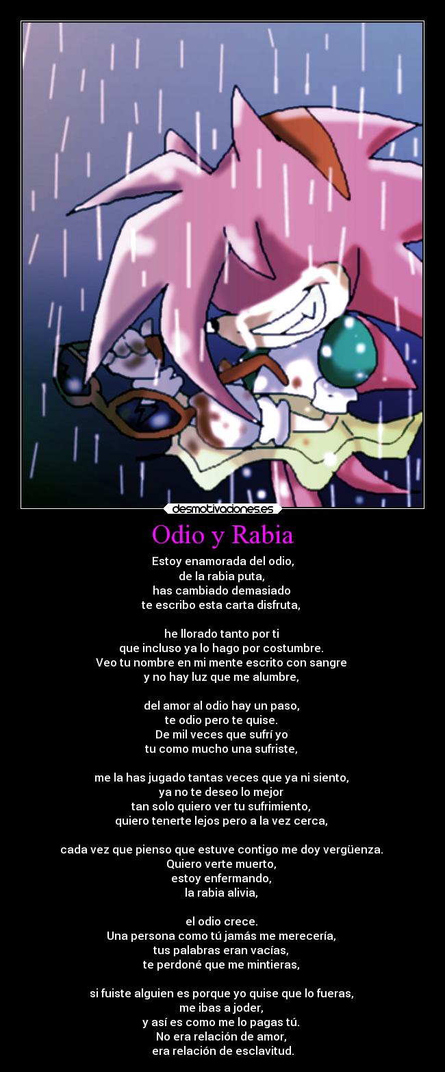 carteles odio odio rabia porta rosy the rascal desmotivaciones