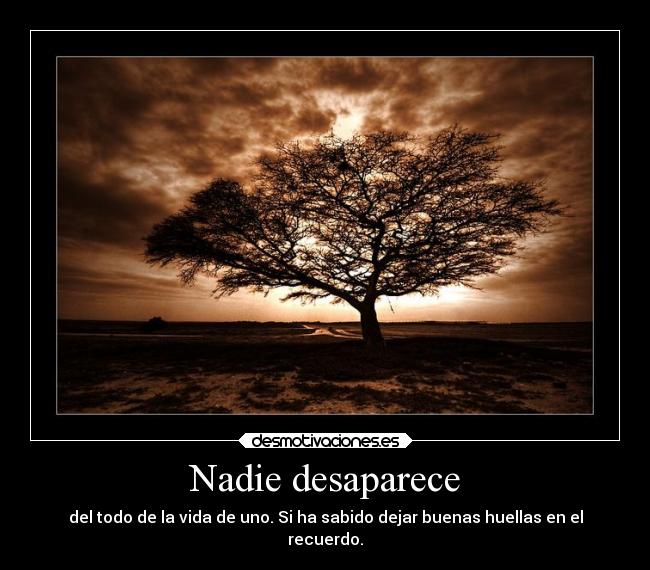 Nadie desaparece - 