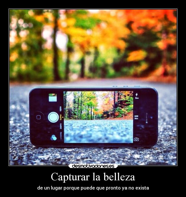 Capturar la belleza -