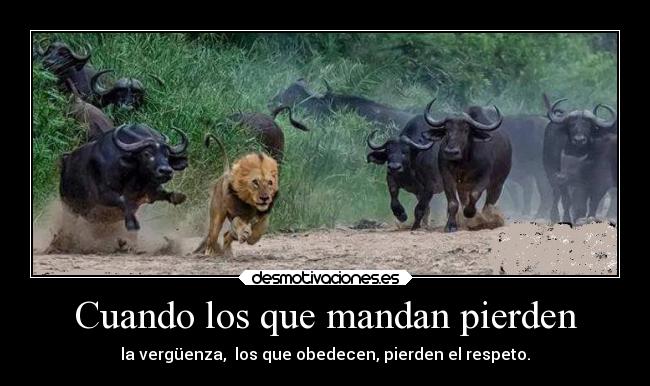 Cuando los que mandan pierden -
