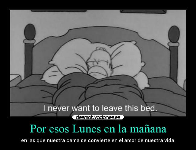 Por esos Lunes en la mañana -