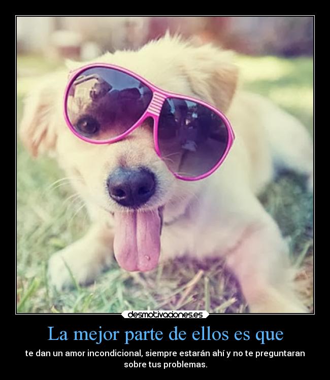 carteles problemas amor mundo vida animales perros desmoc3 esas cosas blablabla desmotivaciones