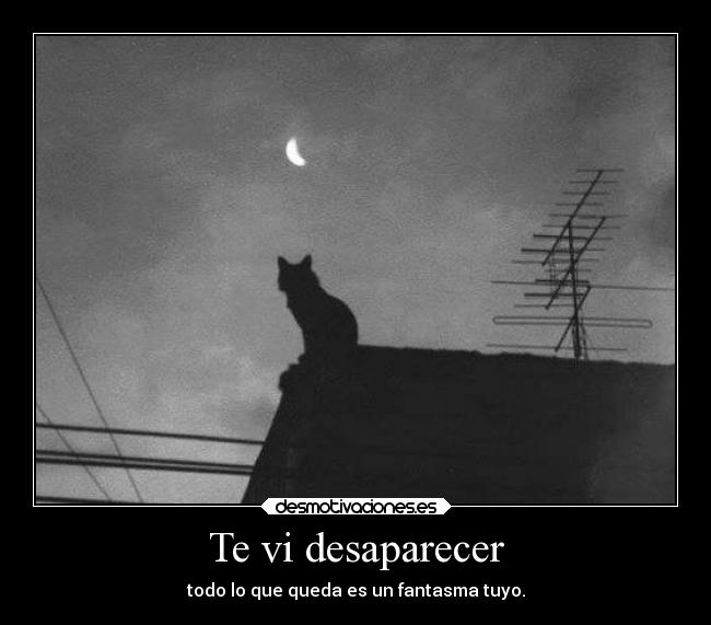 Te vi desaparecer -