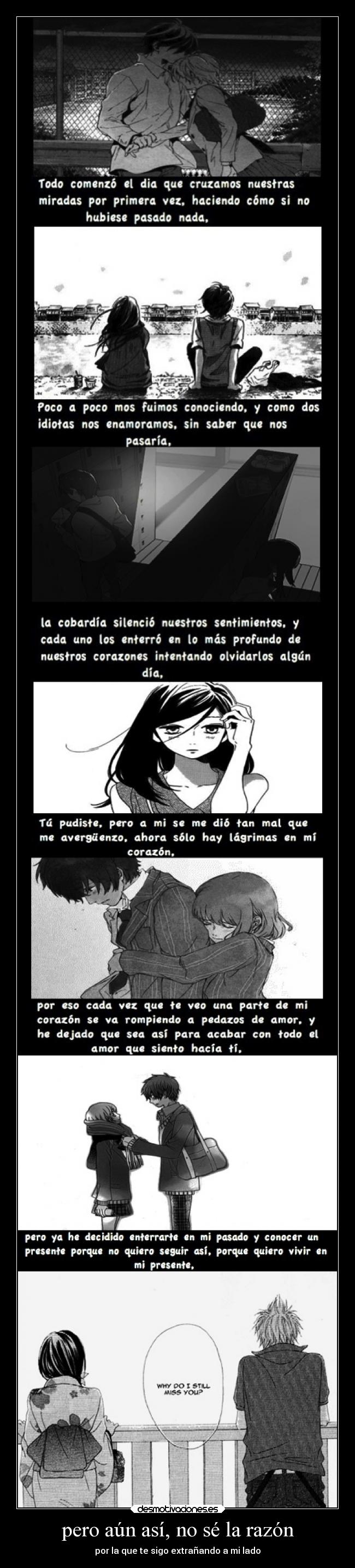 carteles sentimientos amor anime manga shoujo extranar lado razon desmotivaciones