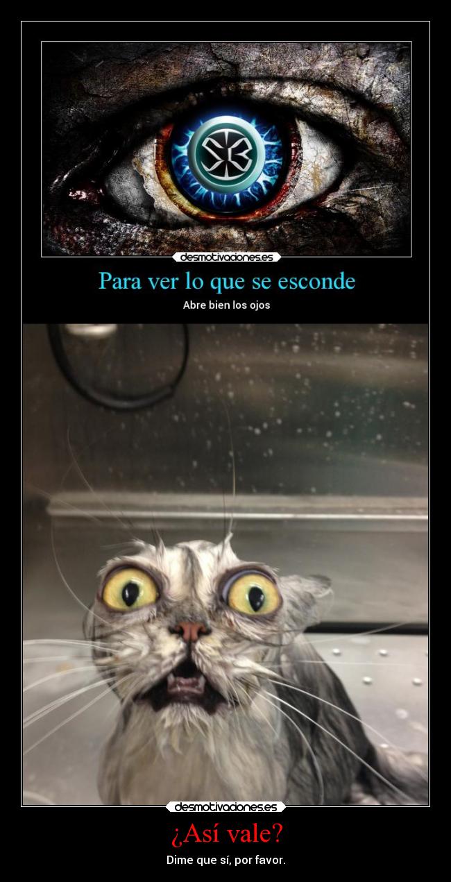 carteles sentimientos animales alma arte gato serio poker face desmotivaciones