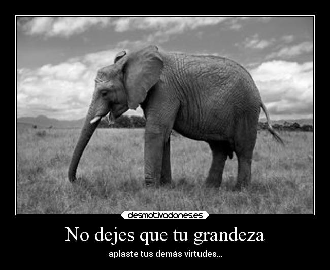 No dejes que tu grandeza - aplaste tus demás virtudes...