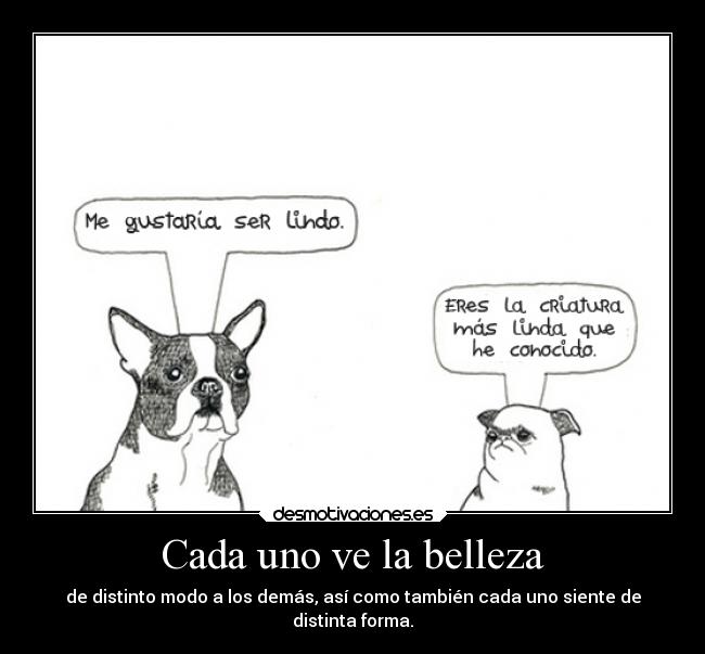 carteles sentimientos belleza desmotivaciones