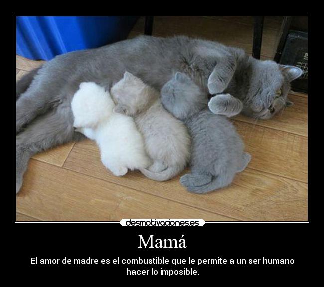 Mamá - El amor de madre es el combustible que le permite a un ser humano
hacer lo imposible.