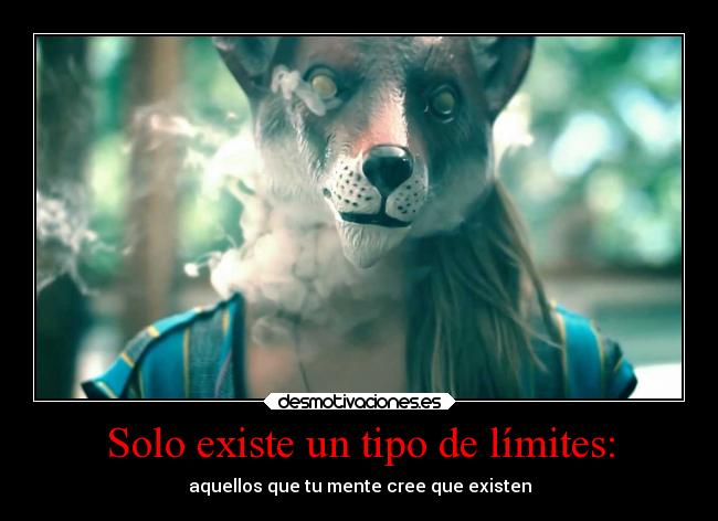 carteles sexo animal fumador desmotivaciones