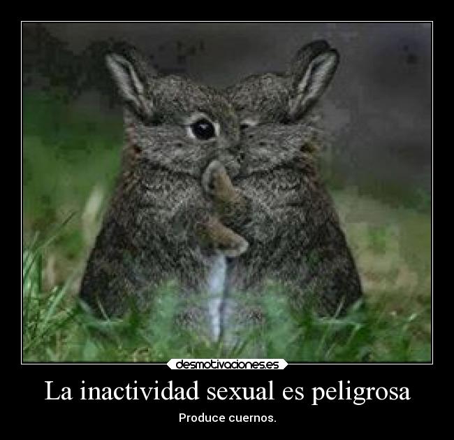 La inactividad sexual es peligrosa - Produce cuernos.