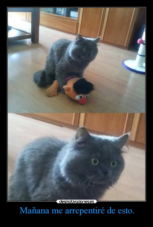Mañana me arrepentiré de esto. - 