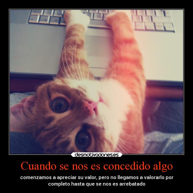 Cuando se nos es concedido algo -