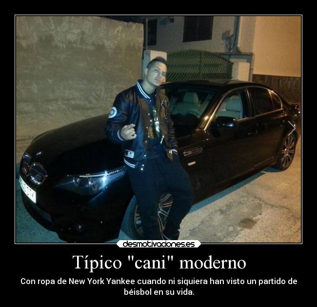 Típico cani moderno -
