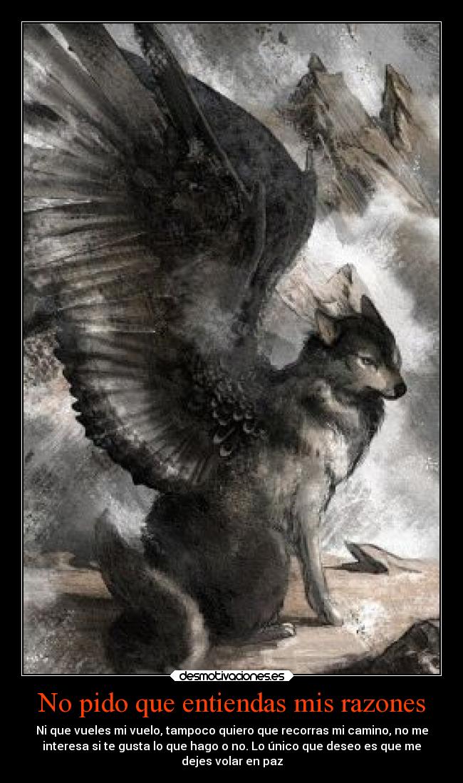 No pido que entiendas mis razones -