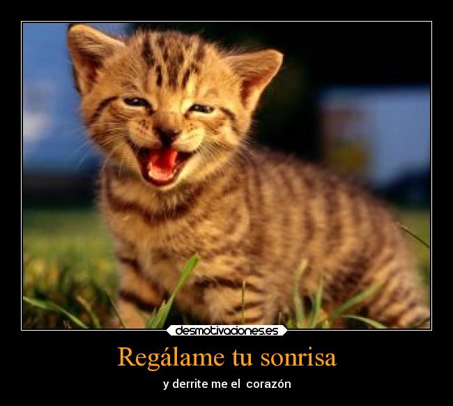 Regálame tu sonrisa - y derrite me el corazón