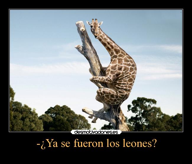 -¿Ya se fueron los leones? -