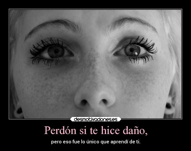 Perdón si te hice daño, -