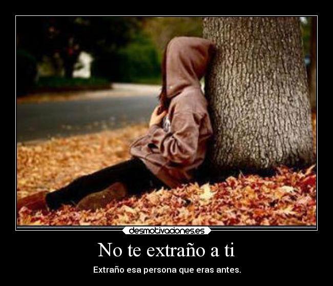 No te extraño a ti -