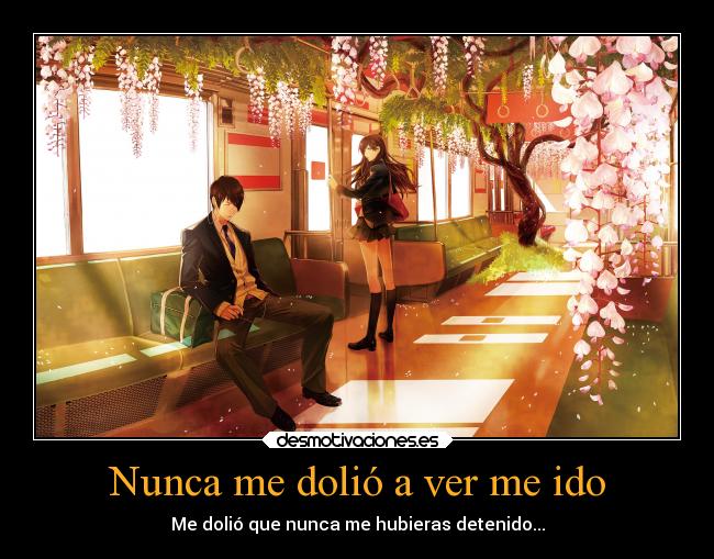 Nunca me dolió a ver me ido -