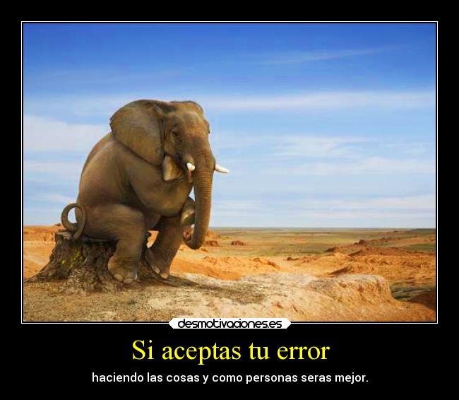 Si aceptas tu error - 