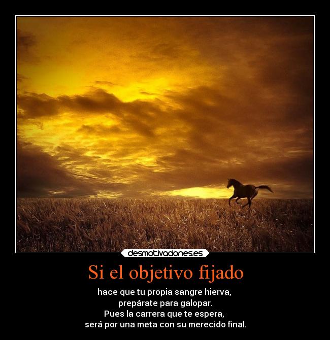 Si el objetivo fijado - 