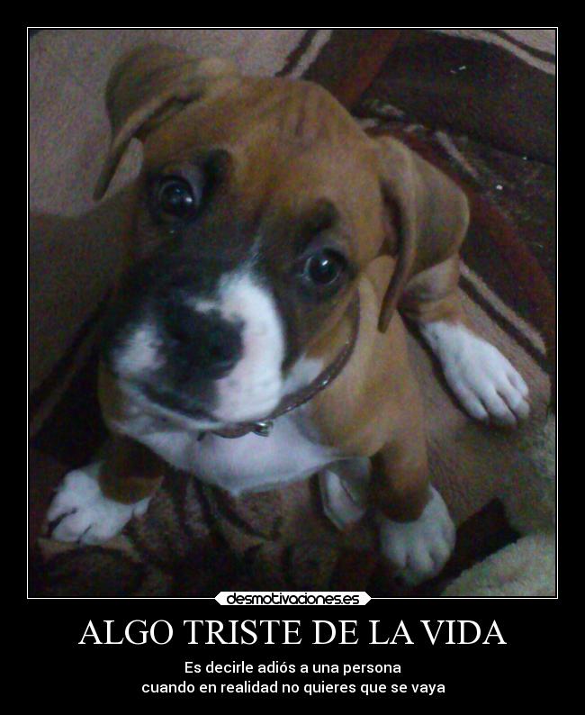 ALGO TRISTE DE LA VIDA - 