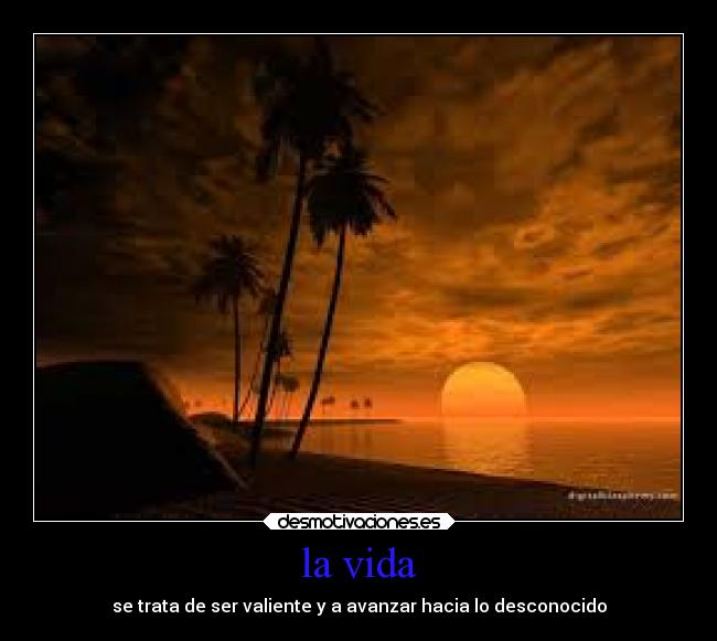 la vida - 