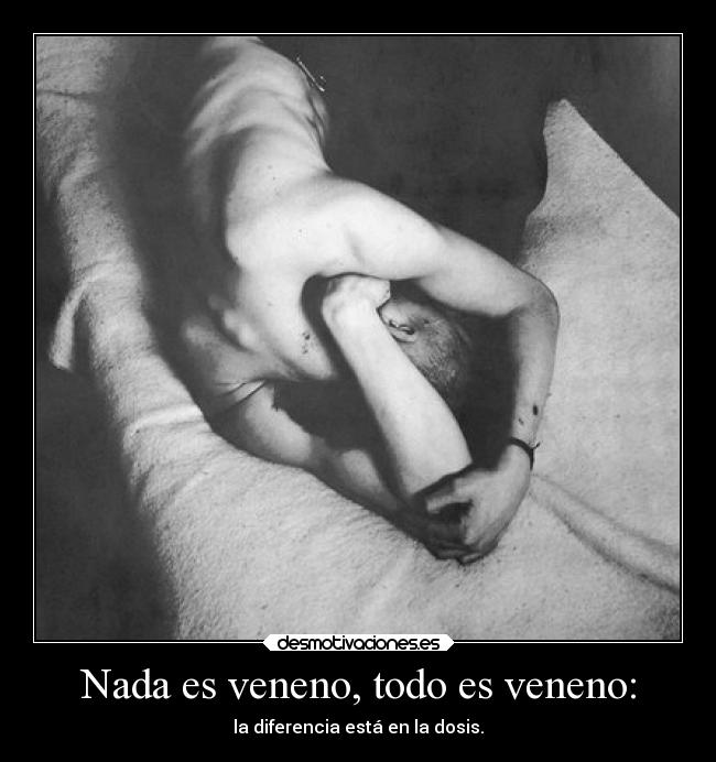 carteles vida amm paracelso phot desmotivaciones