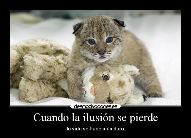 Cuando la ilusión se pierde - la vida se hace más dura.