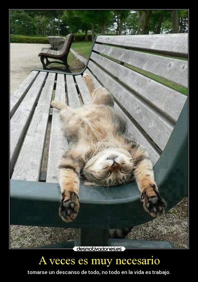 A veces es muy necesario - tomarse un descanso de todo, no todo en la vida es trabajo.