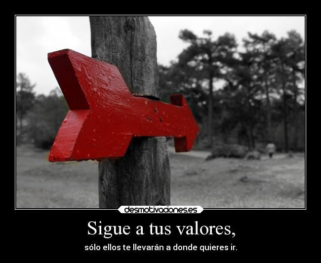 Sigue a tus valores, -
