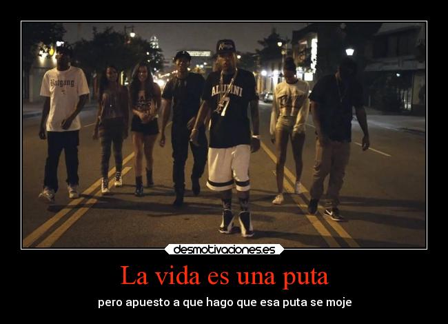 carteles vida vida desmotivaciones