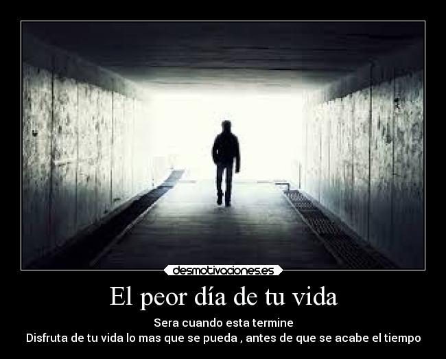 carteles vida vida desmotivaciones