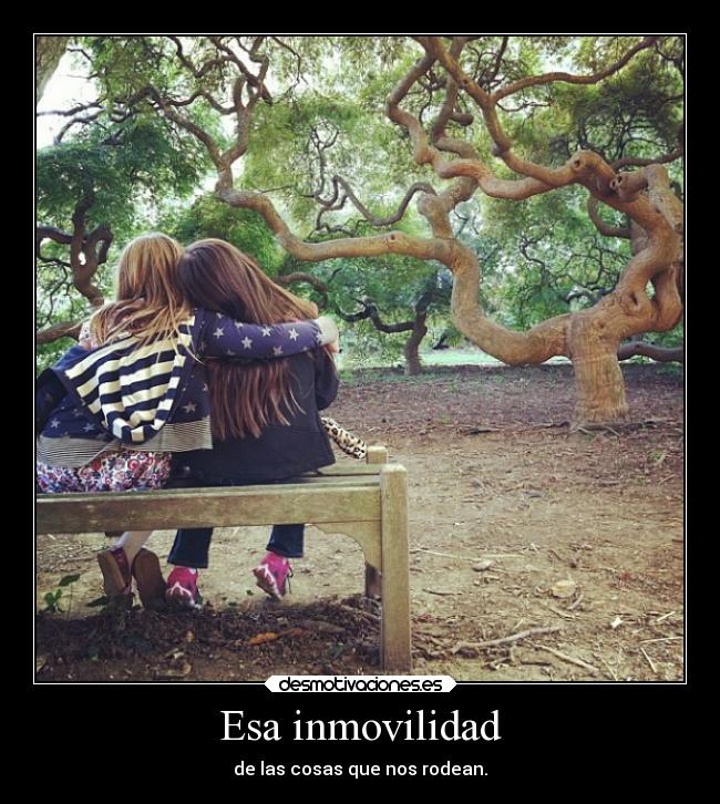 Esa inmovilidad - de las cosas que nos rodean.