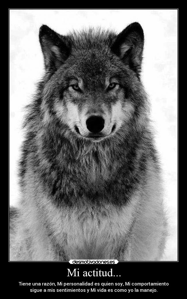 Mi actitud... - Tiene una razón, Mi personalidad es quien soy, Mi comportamiento
sigue a mis sentimientos y Mi vida es como yo la manejo.