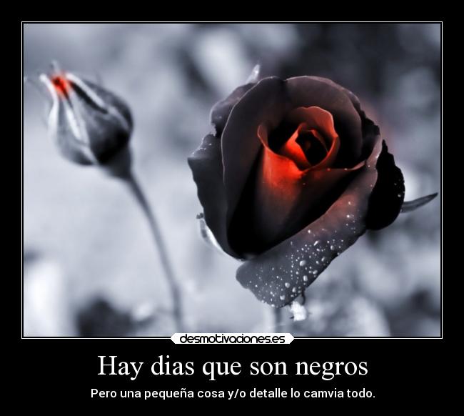 carteles vida desmotivaciones