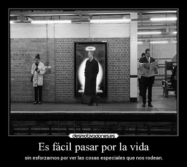 carteles vida vida desmotivaciones