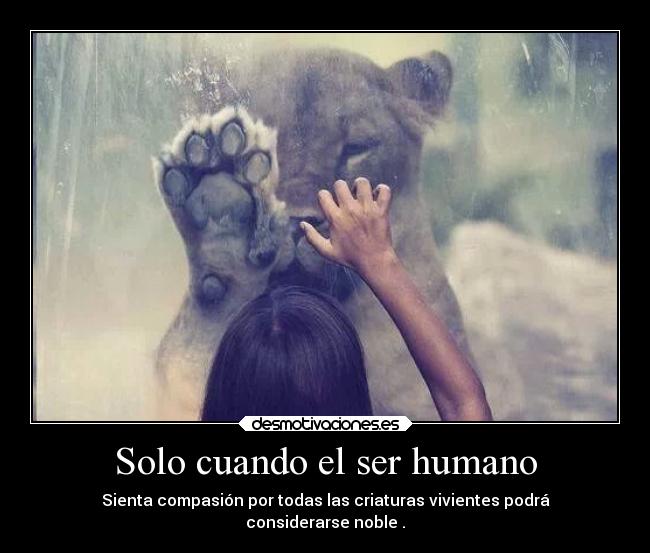 Solo cuando el ser humano - Sienta compasión por todas las criaturas vivientes podrá
considerarse noble .