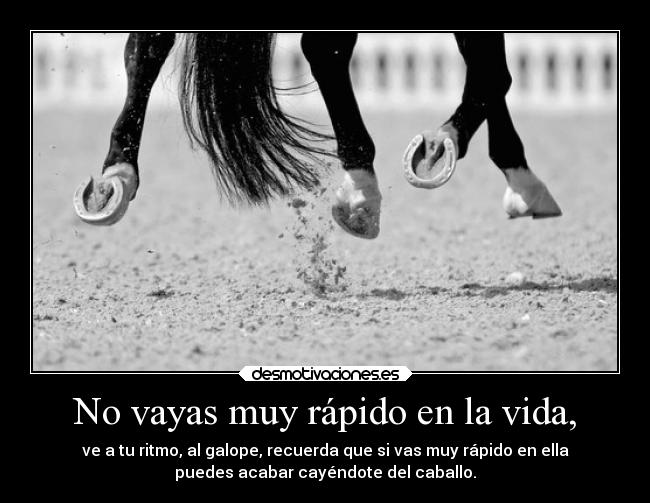 No vayas muy rápido en la vida, - ve a tu ritmo, al galope, recuerda que si vas muy rápido en ella
puedes acabar cayéndote del caballo.