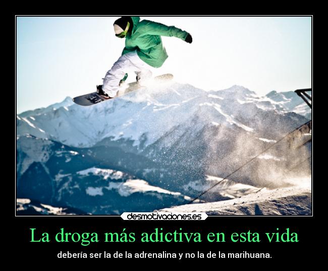 carteles vida vida desmotivaciones drogas metafora ryuzaky desmotivaciones