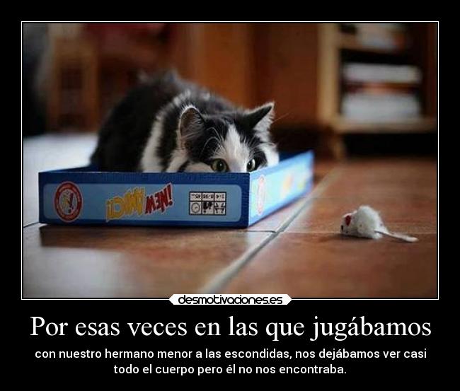 carteles vida desmotivaciones metafora real pasaba mucho hermanos ryuzaky escondidas desmotivaciones