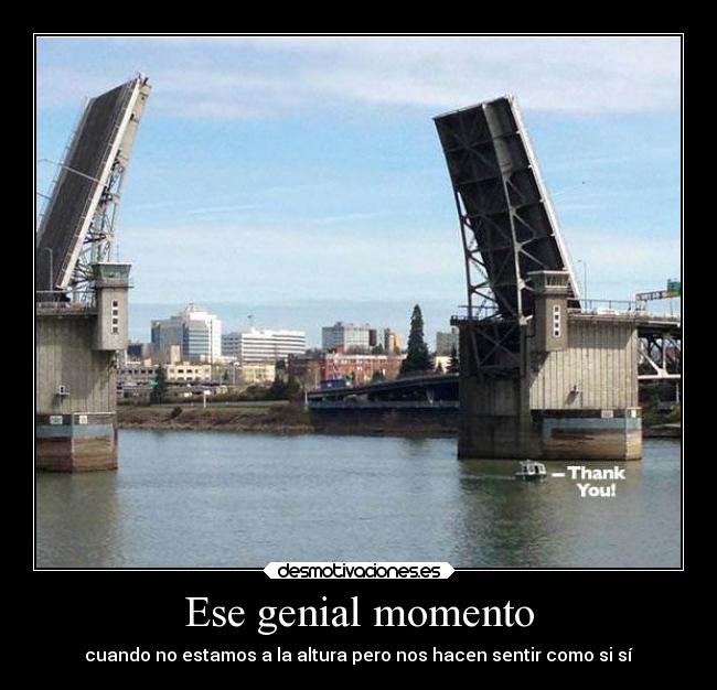 carteles vida diegoparty desmotivaciones